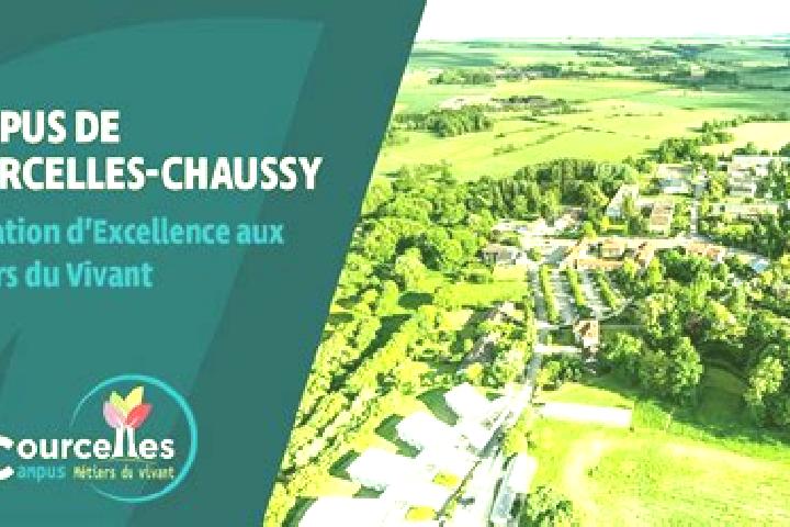escort Courcelles-Chaussy