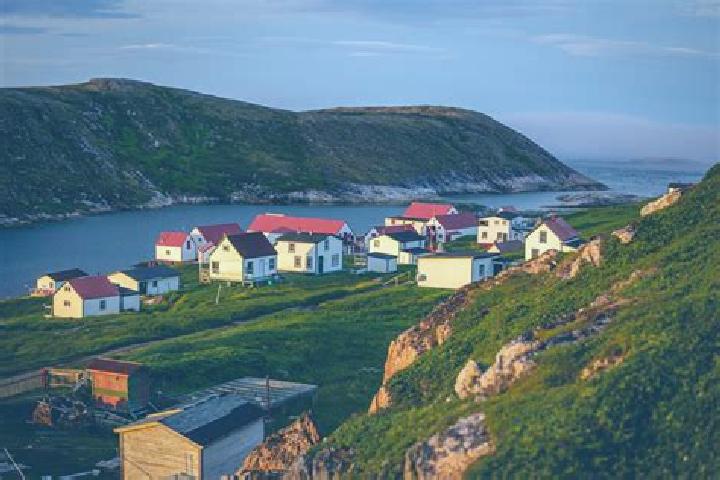 escort Cox s Cove