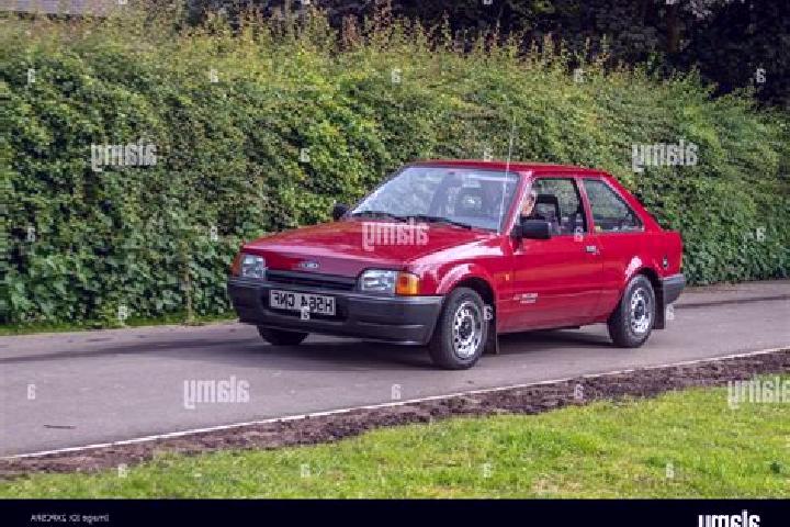 escort Cranford
