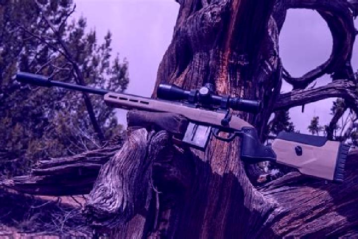 escort Creedmoor