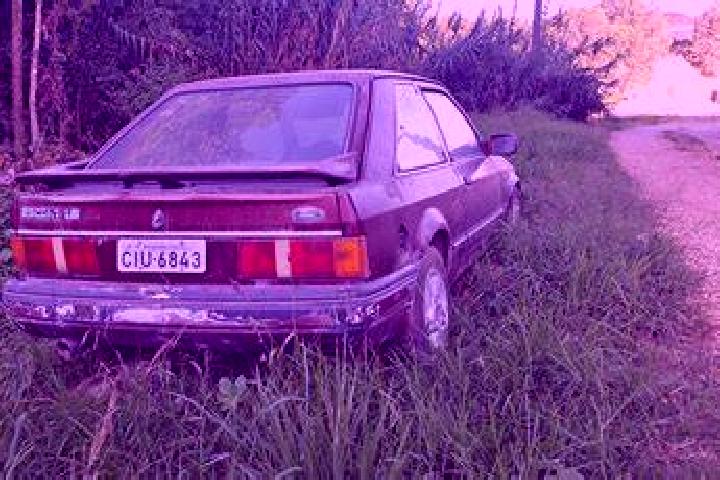 escort Cristal do Sul