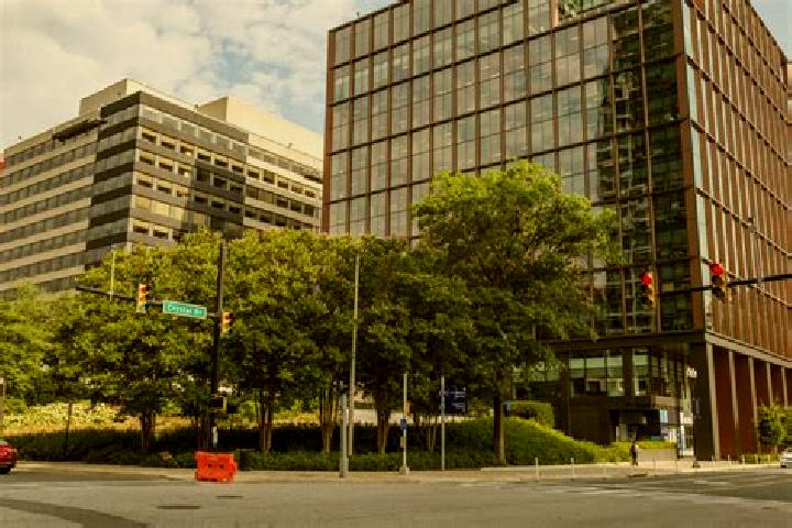 escort Crystal City