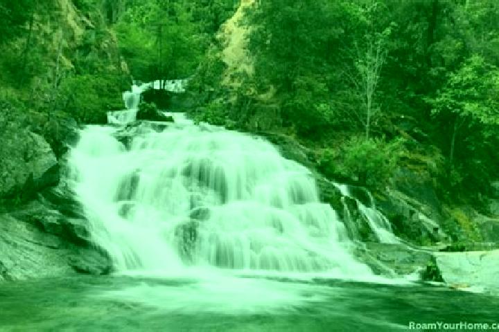 escort Crystal Falls