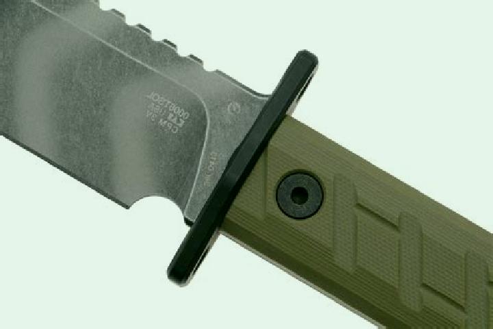 escort Ct 0006