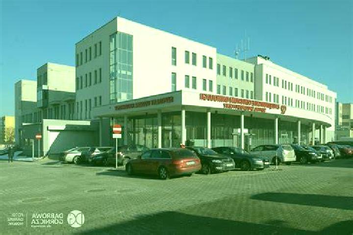 escort Dabrowa Gornicza