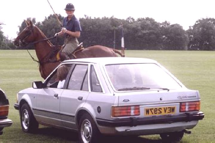 escort Dado