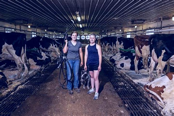 escort Dairy Farm