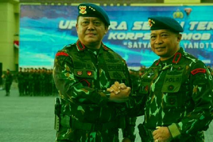escort Dalamdesa Kalapadua