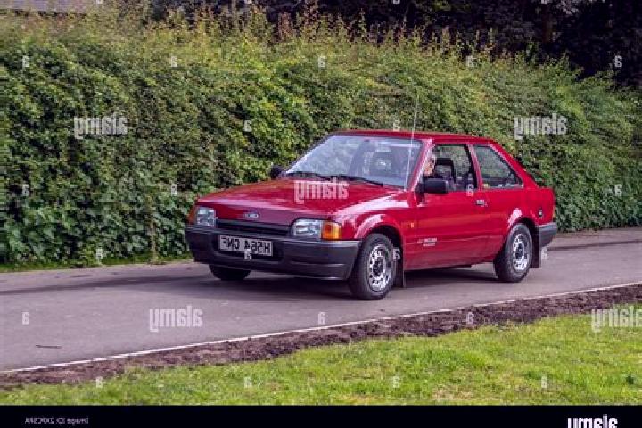 escort Dalby