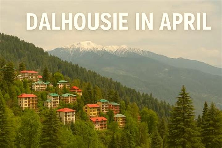 escort Dalhousie