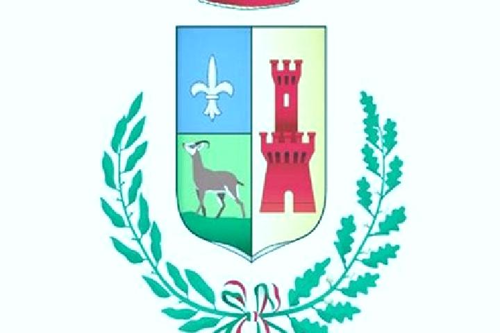 escort Dalmine