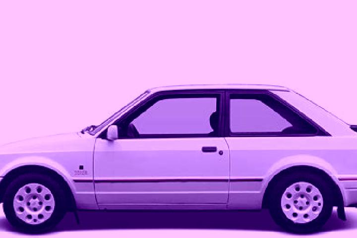escort Daming