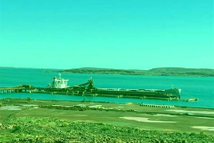 escort Dampier