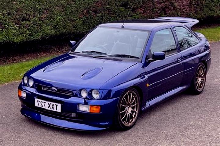 escort Dandi