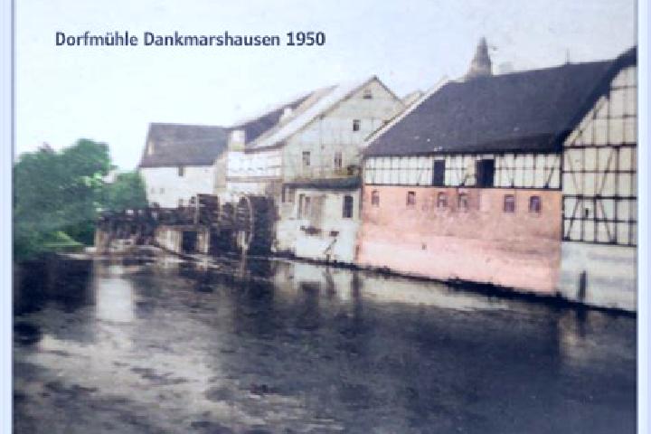 escort Dankmarshausen