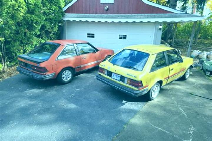 escort Dansville