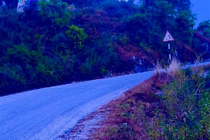 escort Darchula
