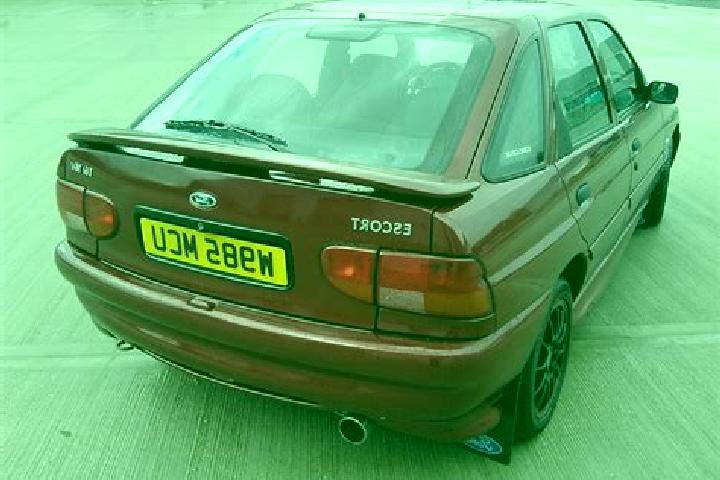 escort Davison