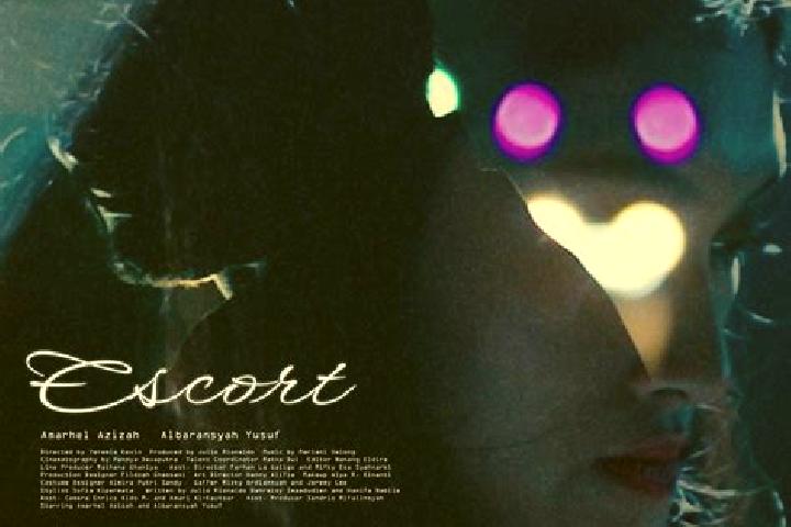 escort Dayr Yusuf