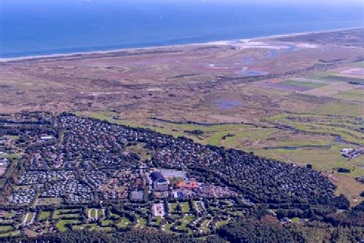 escort De Cocksdorp