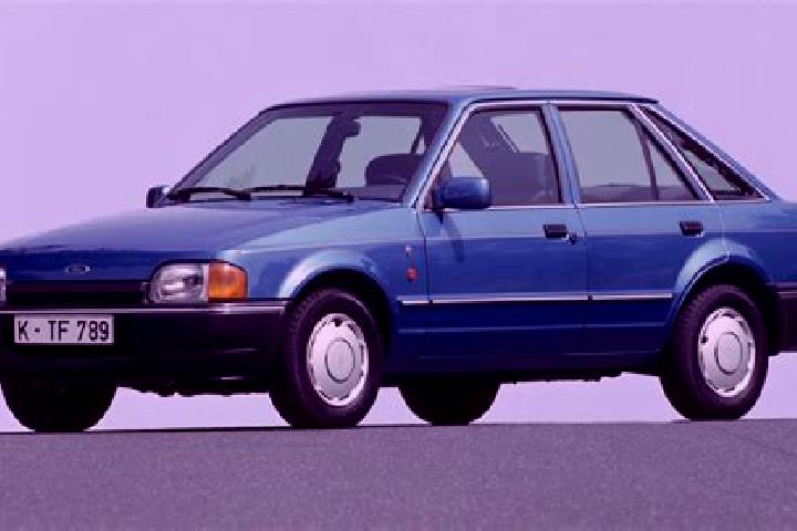escort De Noord