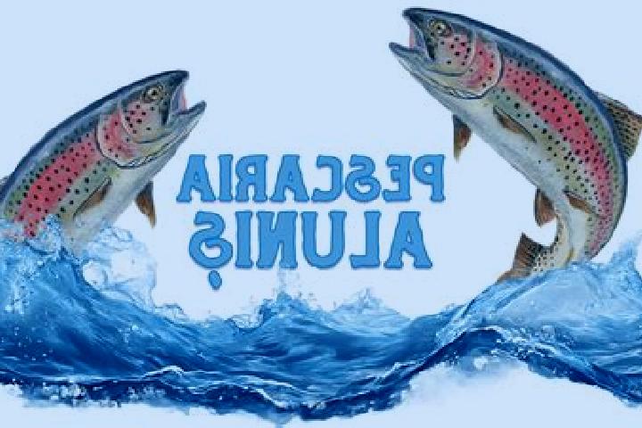 escort Dealu Alunis