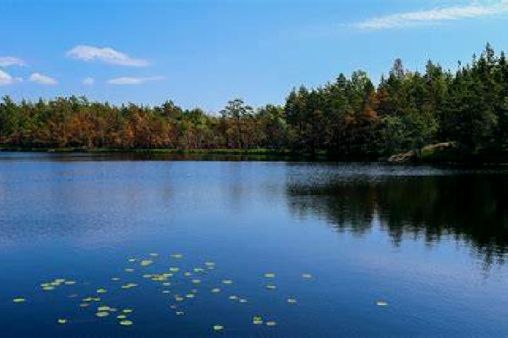 escort Deer Lake