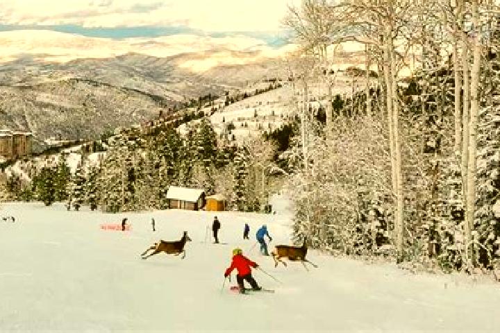 escort Deer Valley