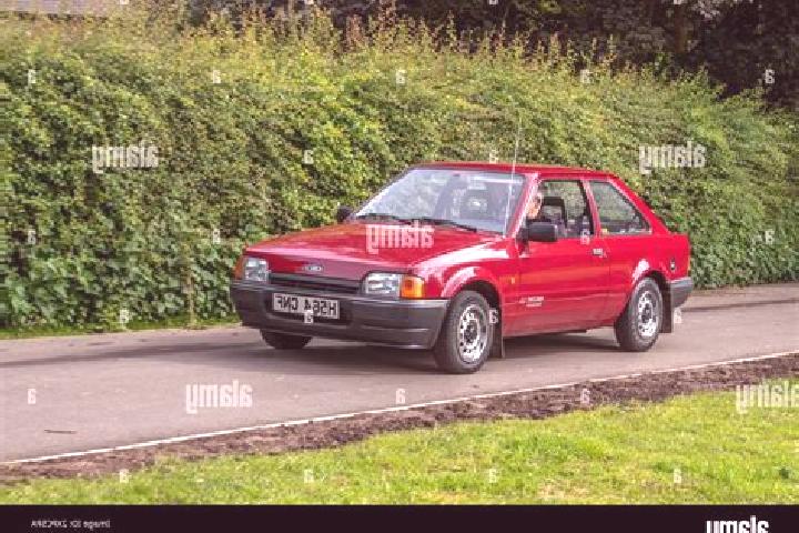 escort Deidesheim