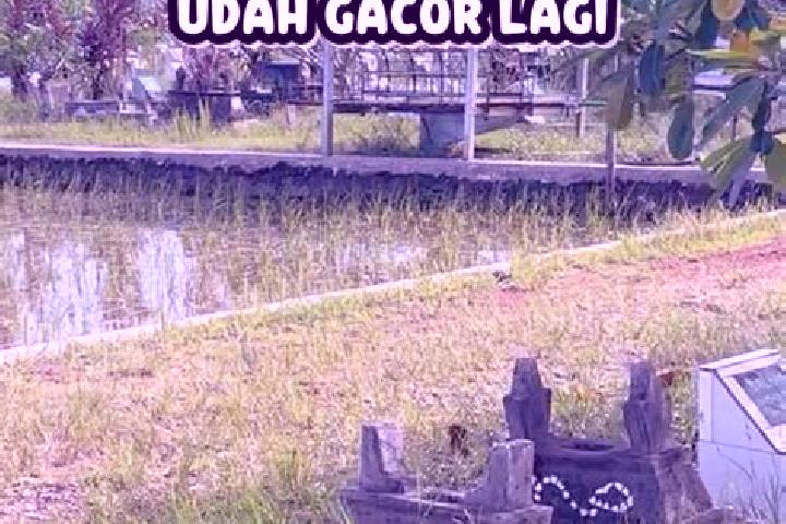 escort Deket Wetan