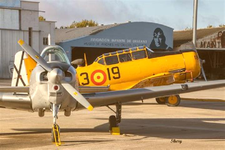 escort Del Aire