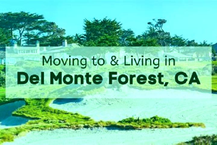 escort Del Monte Forest