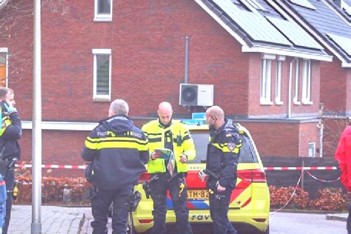 escort Den Dolder