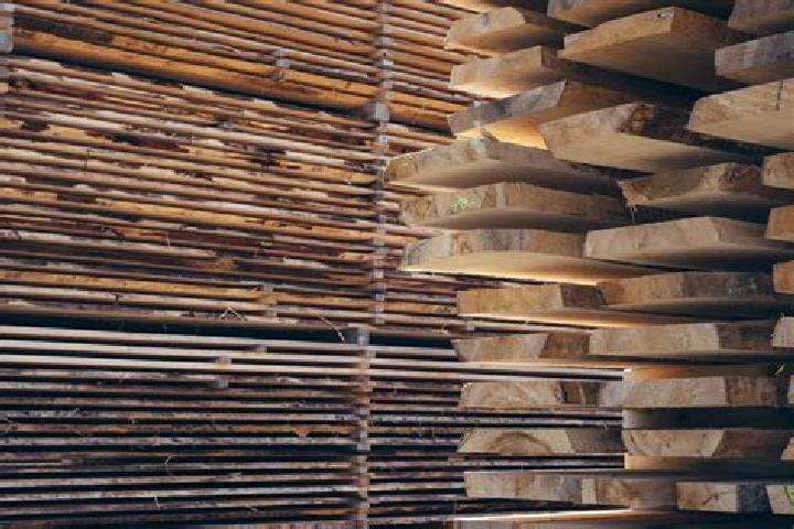 escort Den Hout