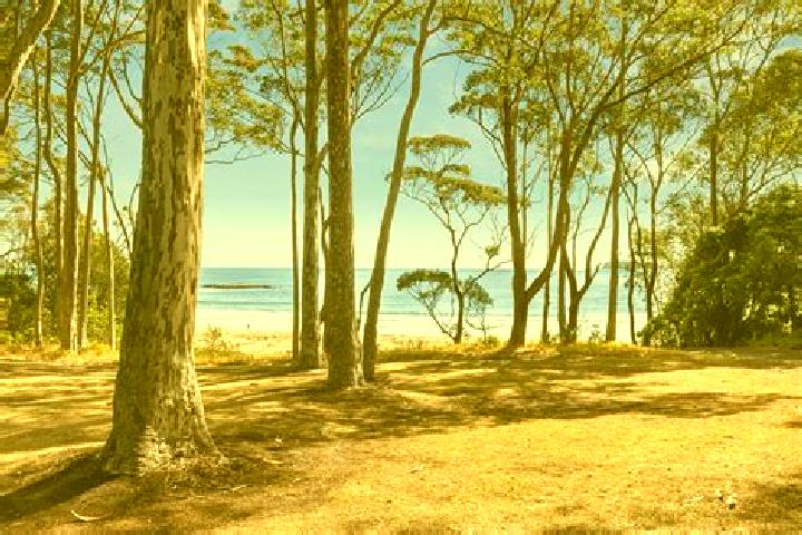 escort Denhams Beach