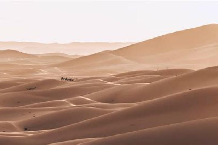 escort Deserto