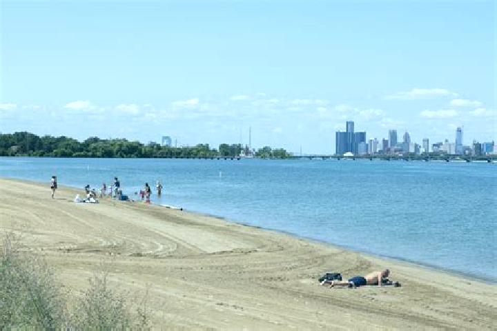 escort Detroit Beach