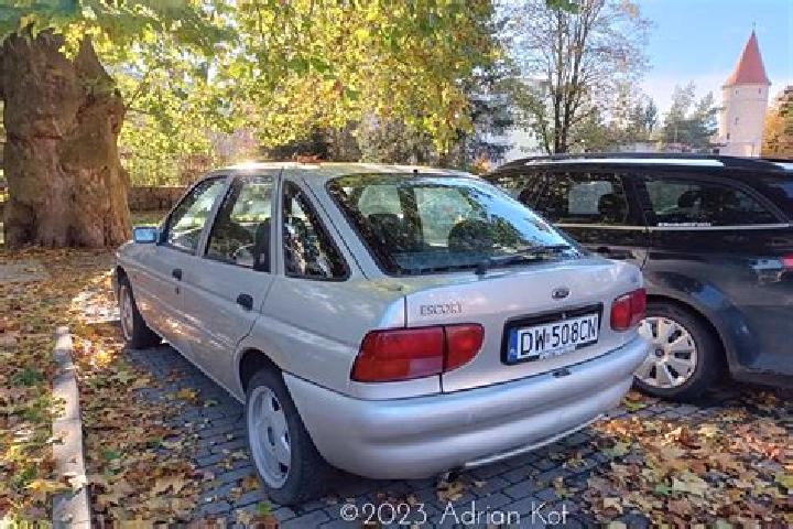 escort Detung