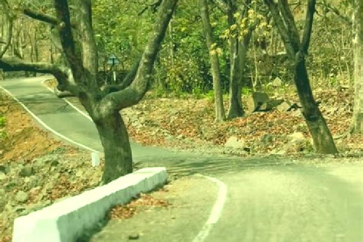 escort Devgadh Bariya