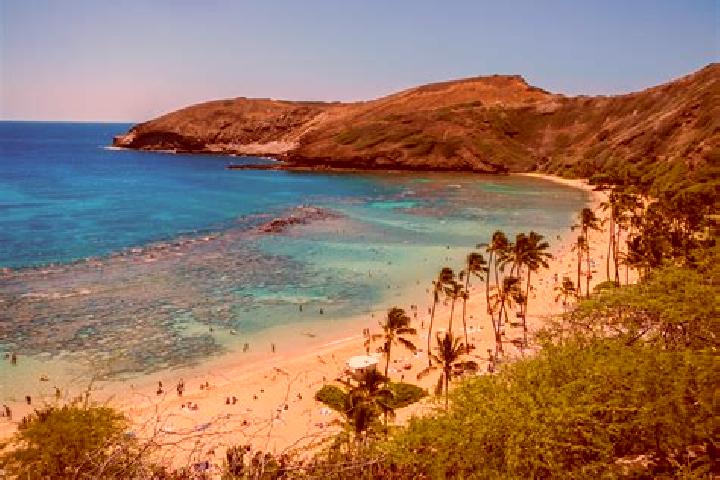 escort Diamond Head / Kapahulu / Saint Louis Heights