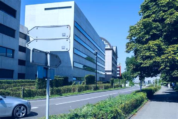 escort Dietikon / Oberdorf