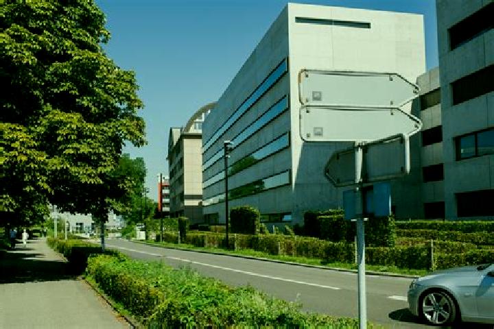 escort Dietikon / Ruetematt