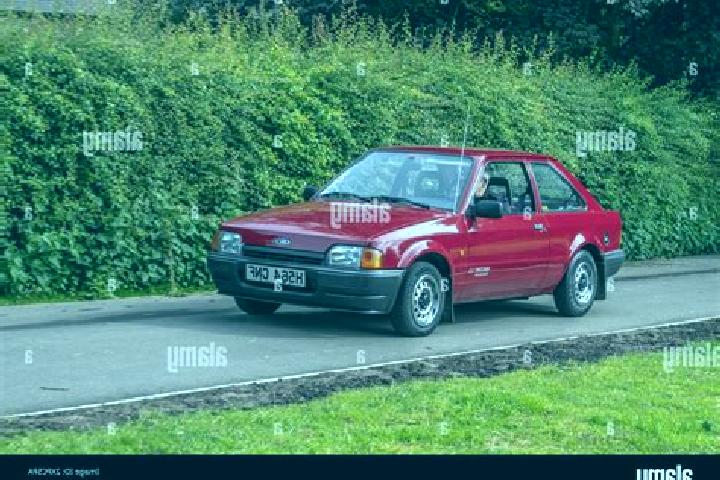 escort Diksmuide