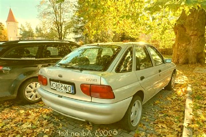 escort Dilesi