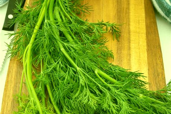 escort Dill