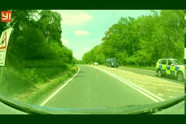 escort Dinmore