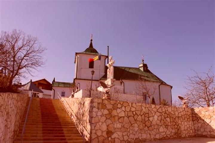 escort Dolna Mitropolia