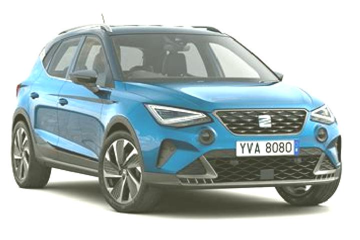 escort Dolno Palciste