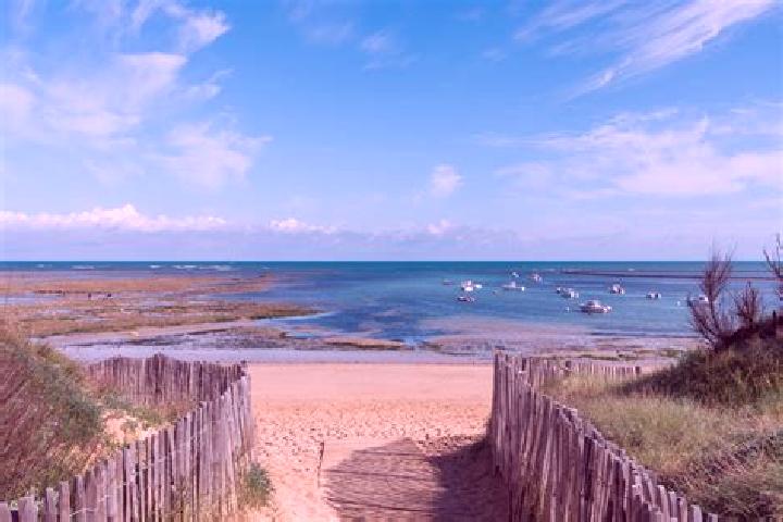 escort Dolus-d Oleron