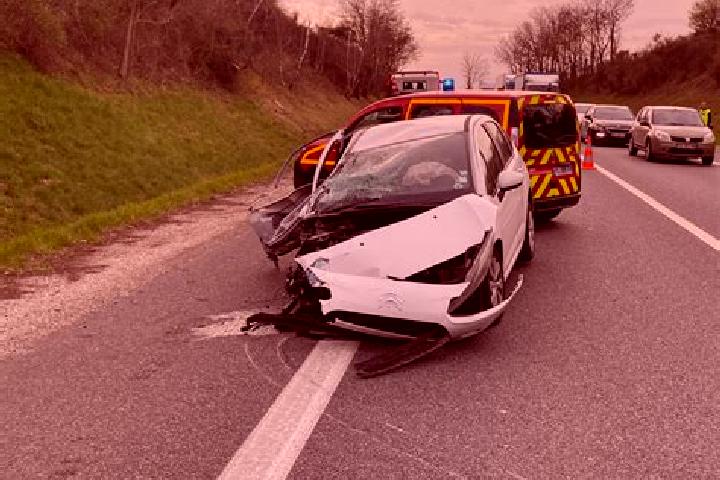 escort Domart-en-Ponthieu
